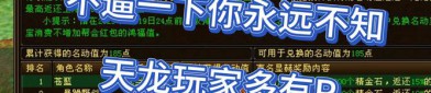 天龙sf发布网：界面简洁、信息及时，助力玩家挑选心仪私服