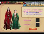 天龙私服的独特地位与争议：兴起缘由、游戏体验及问题分析